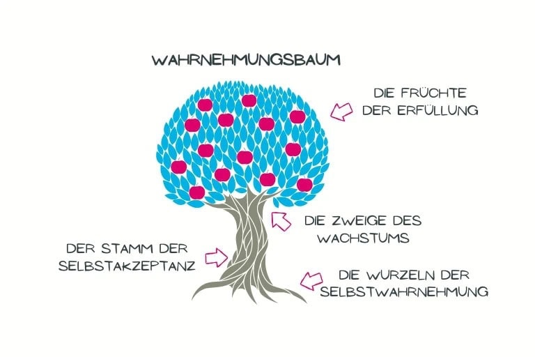 Infografik Wahrnehmungsbaum mit Wurzeln der Selbstwahrnehmung, Stamm der Selbstakzeptanz und Früchten der Erfüllung im Coaching – COATRAIN® Hamburg