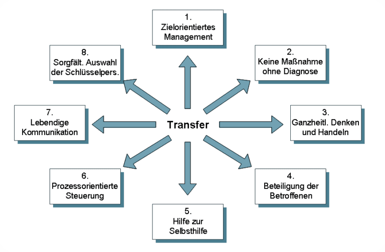 Diagramm Prinzipien des Change-Managements