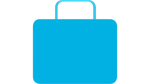 4 - Die Professionalität