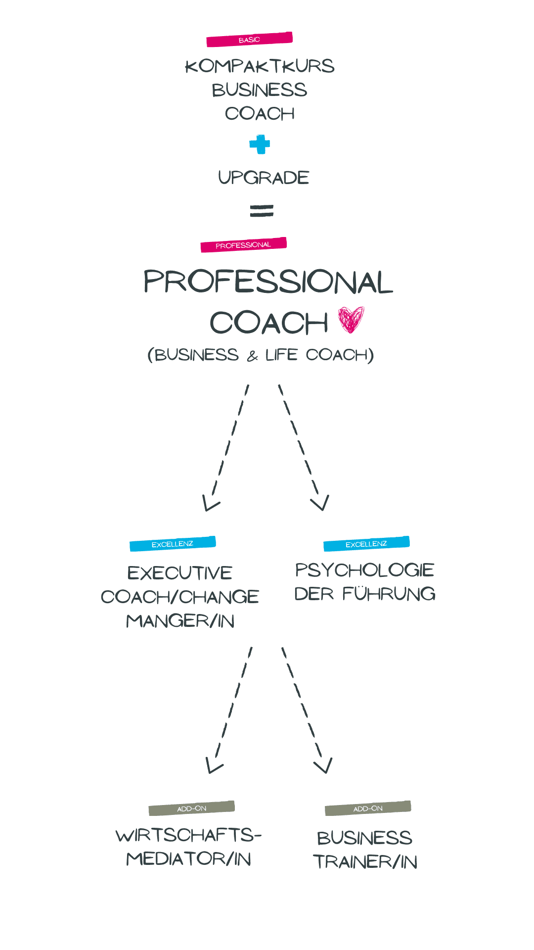 Grafik Ausbildungen im Überblick mobil Grafik Ausbildungen im Überblick mobil