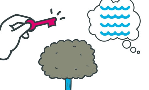 Artikel im COATRAIN® Blog zu Symbolen im Coaching, die Erfahrungen, Emotionen und Lebensbewegungen verdichten. COATRAIN® Hamburg